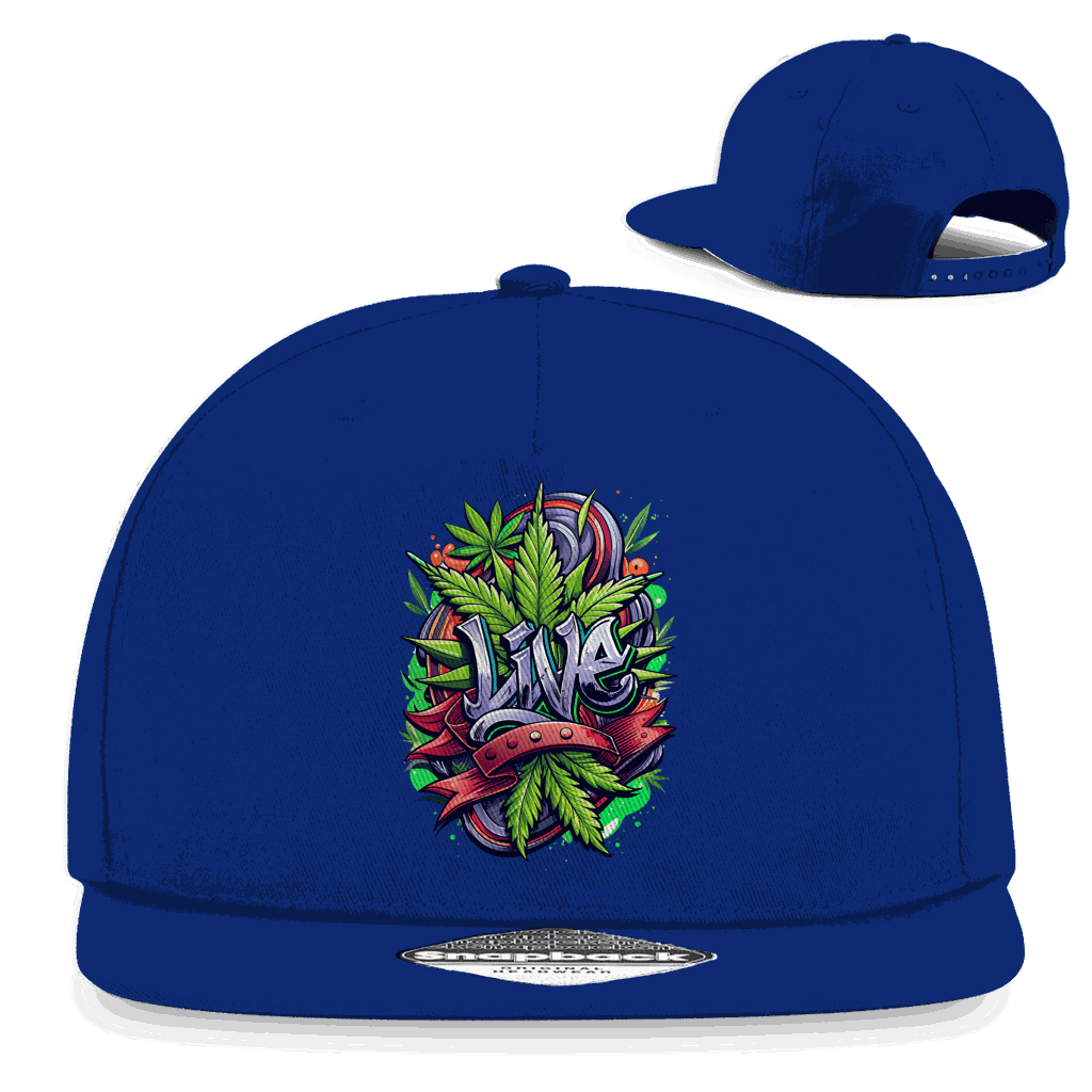 Division420 Snapback Cap Live in Baumwoll-Twill mit flachem Schirm und Retro-Snapbackverschluss