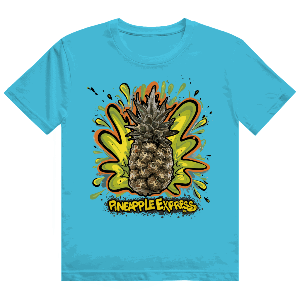 Heavy Cotton T-Shirt Pineapple Express by Division420 with size chart and streetstyle design