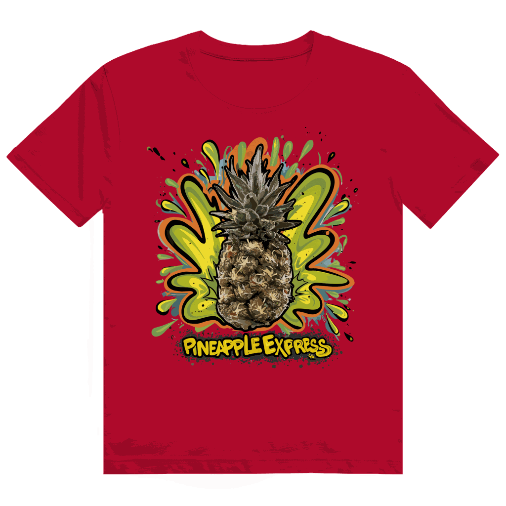 Heavy Cotton T-Shirt - Pineapple Express | Division420®