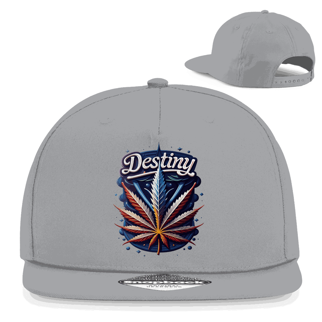 Snapback Rapper Cap - Destiny | Division420®