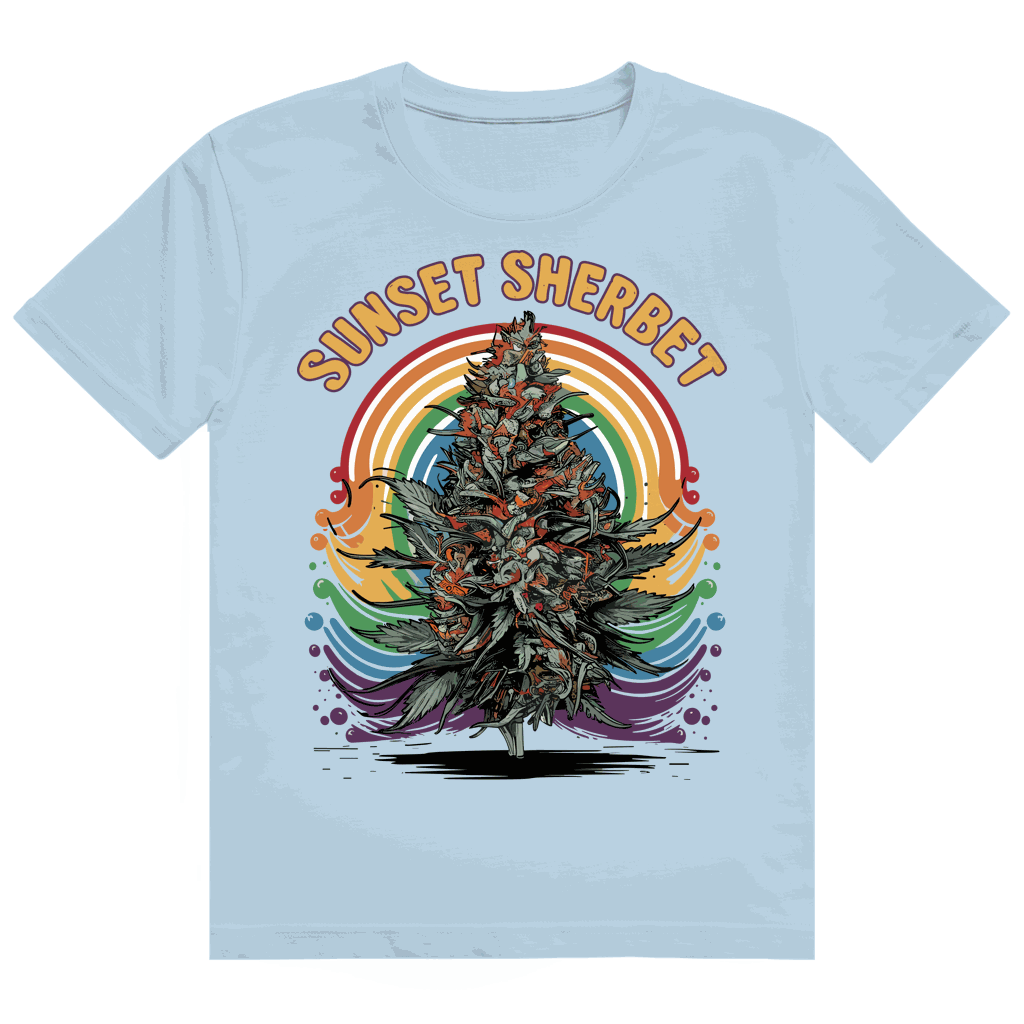 Heavy Cotton T-Shirt - Sunset Sherbet | Division420®