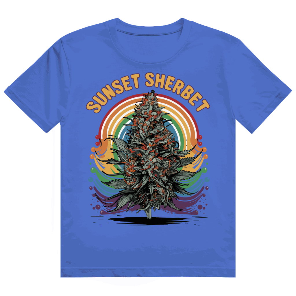 Heavy Cotton T-Shirt - Sunset Sherbet | Division420®