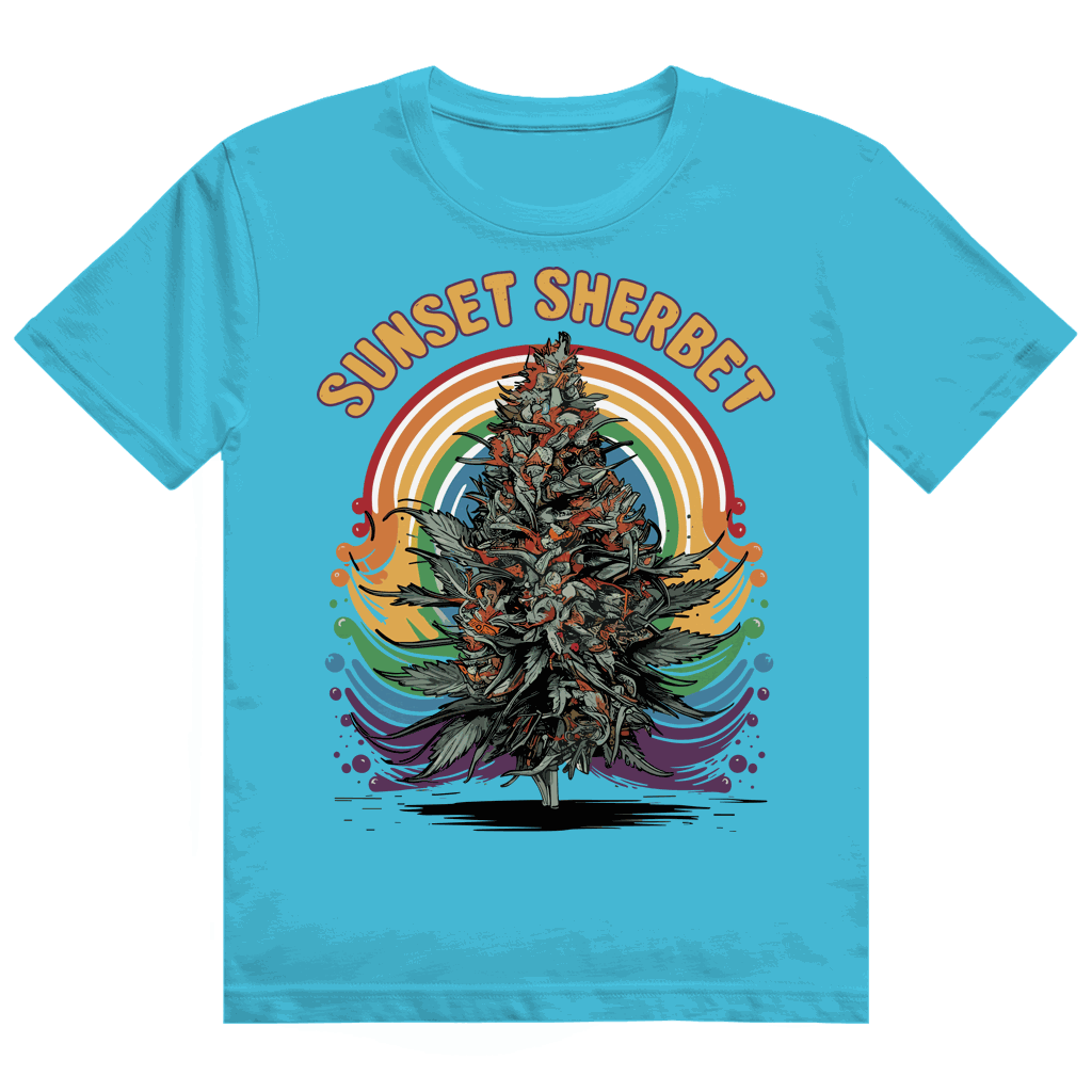 Heavy Cotton T-Shirt - Sunset Sherbet | Division420®