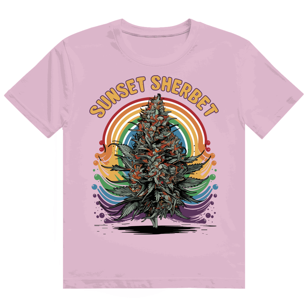 Heavy Cotton T-Shirt - Sunset Sherbet | Division420®