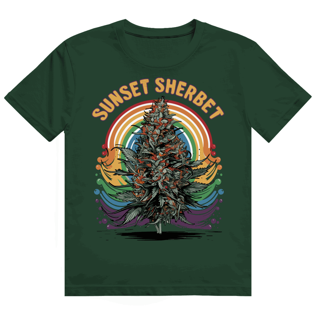 Heavy Cotton T-Shirt - Sunset Sherbet | Division420®