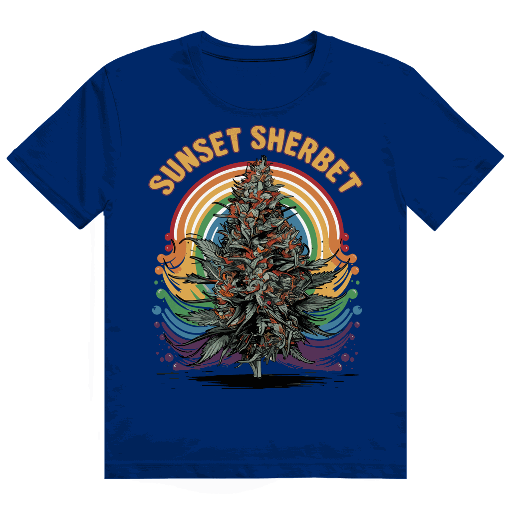 Heavy Cotton T-Shirt - Sunset Sherbet | Division420®