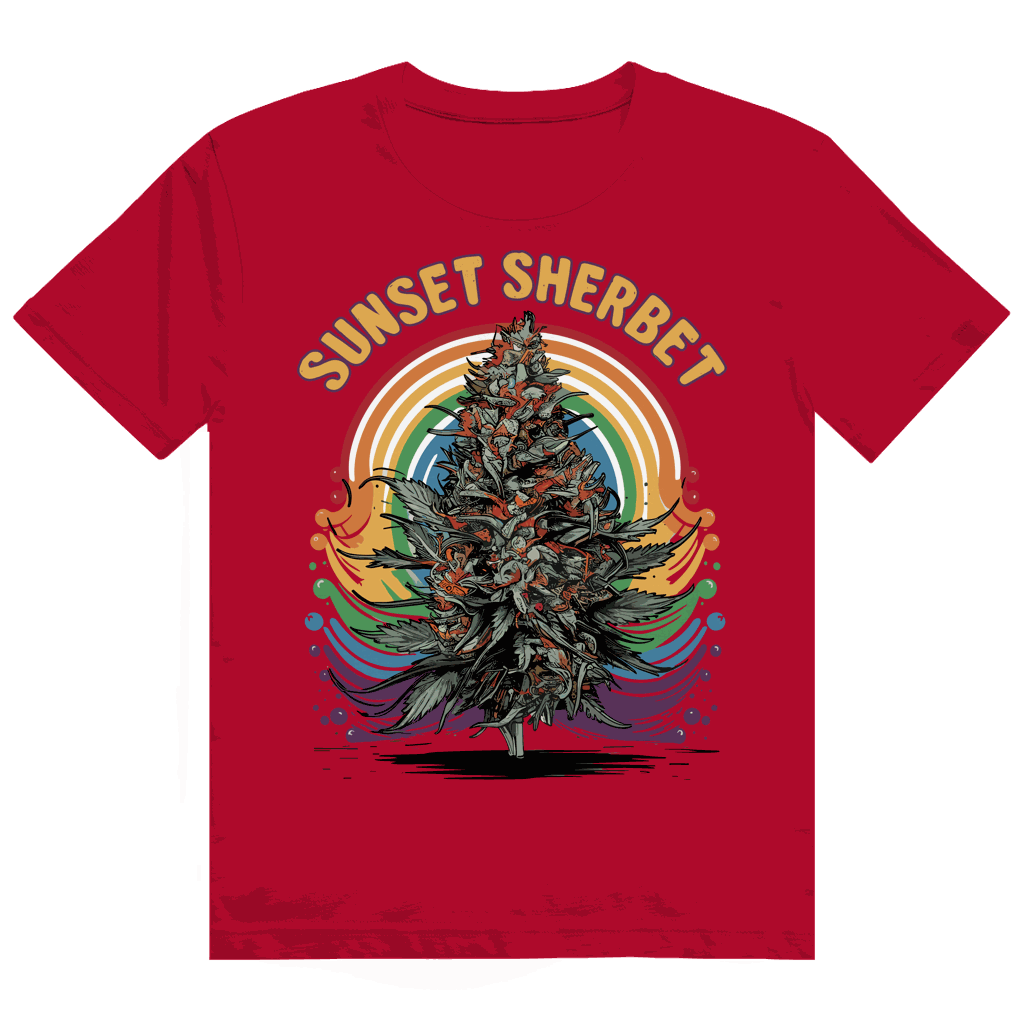 Heavy Cotton T-Shirt - Sunset Sherbet | Division420®