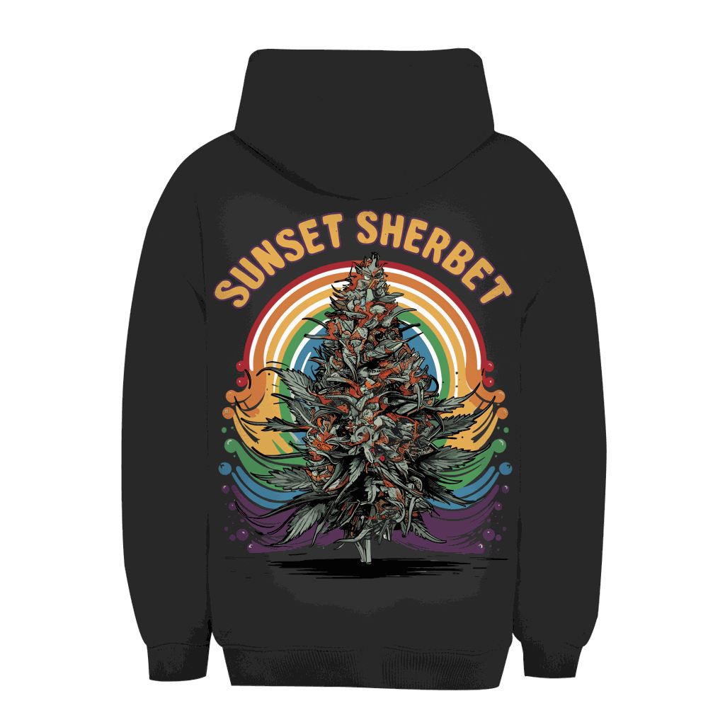 Unisex Oversize Hoodie - Sunset Sherbet | Division420®