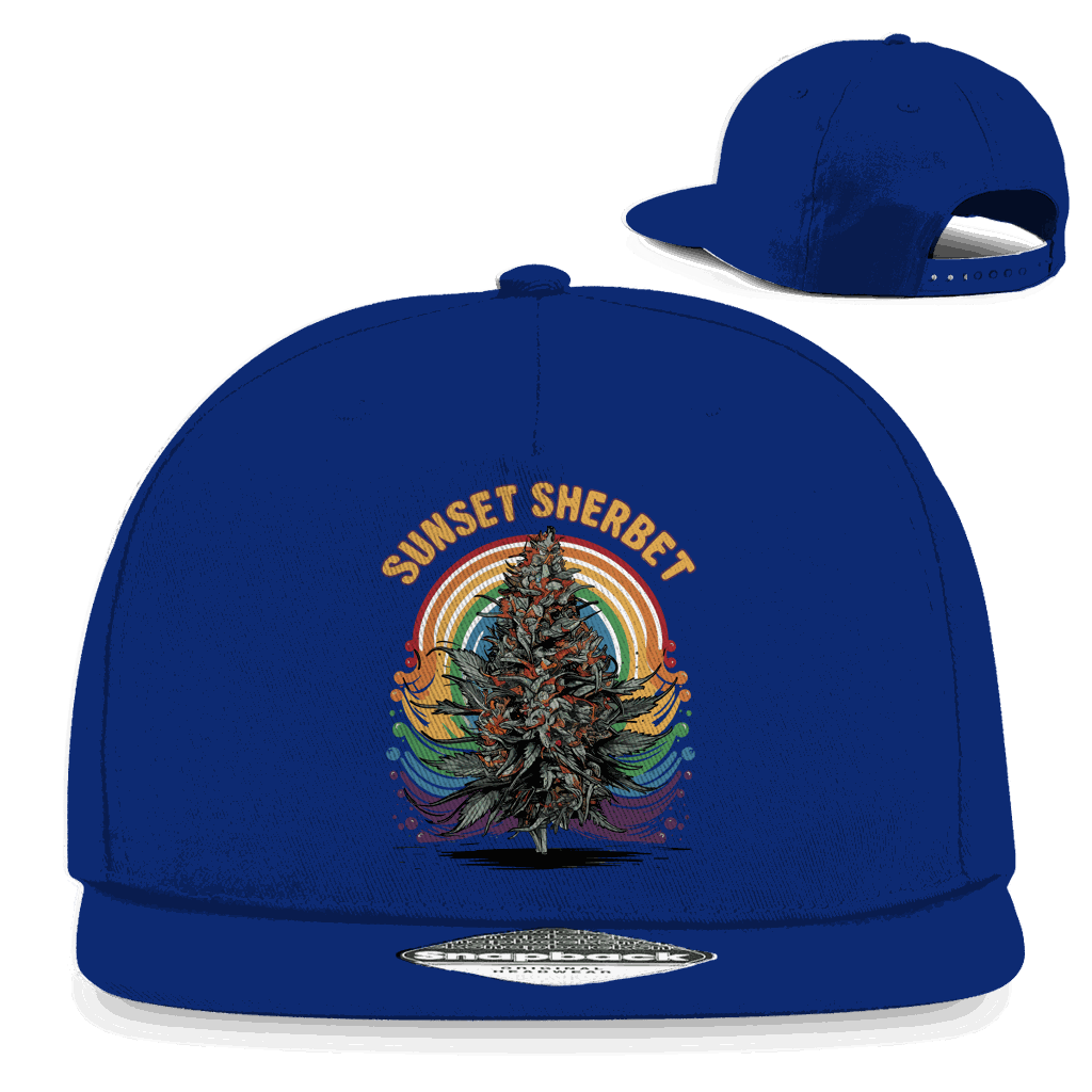 Snapback Rapper Cap - Sunset Sherbet | Division420®