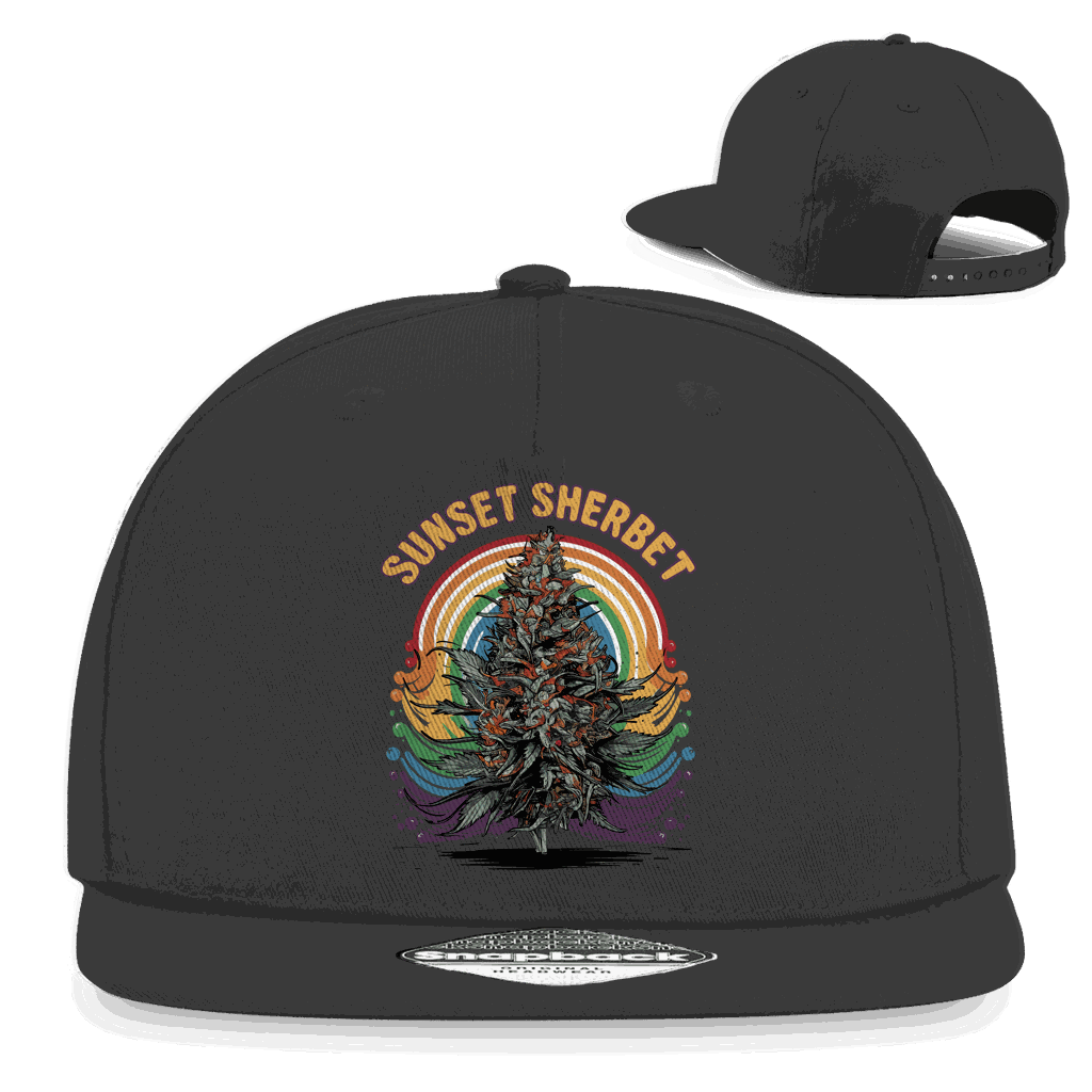 Snapback Rapper Cap - Sunset Sherbet | Division420®