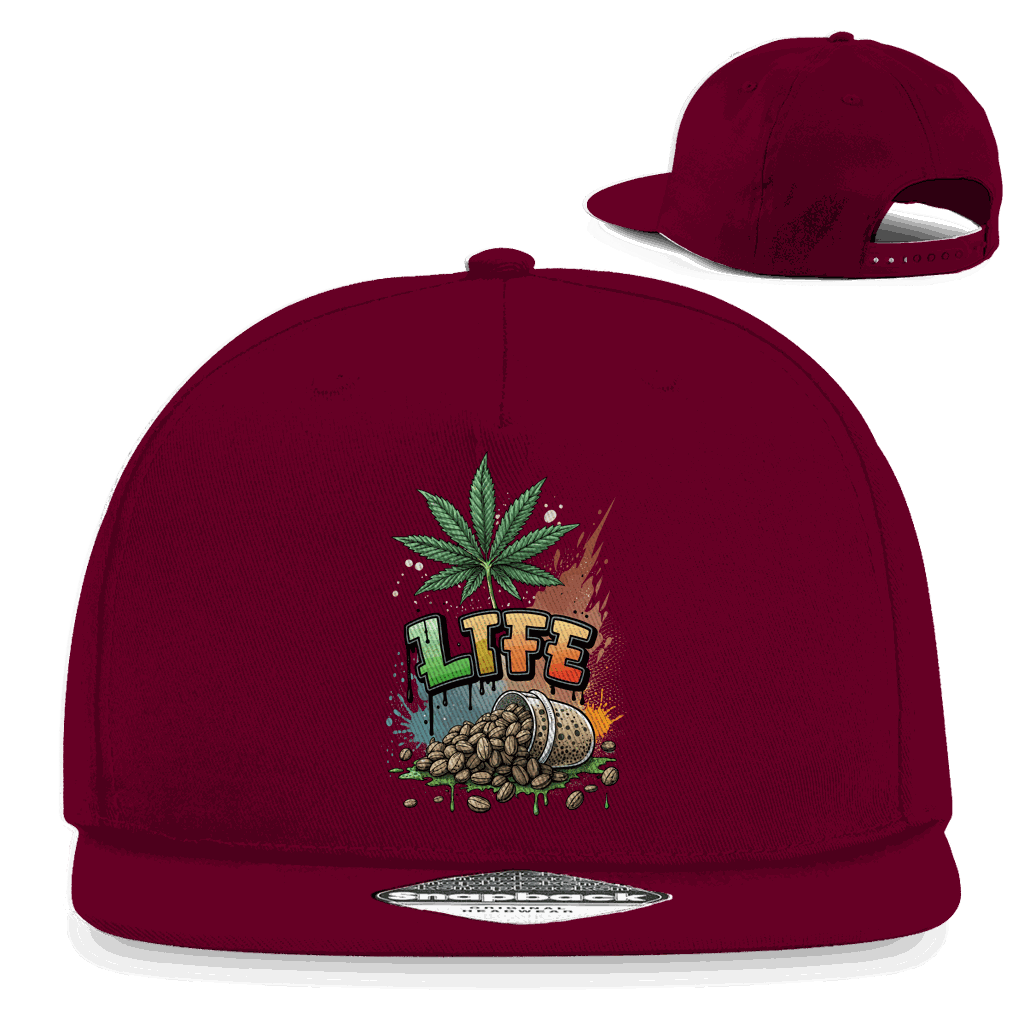 Snapback Rapper Cap - Life | Division420®