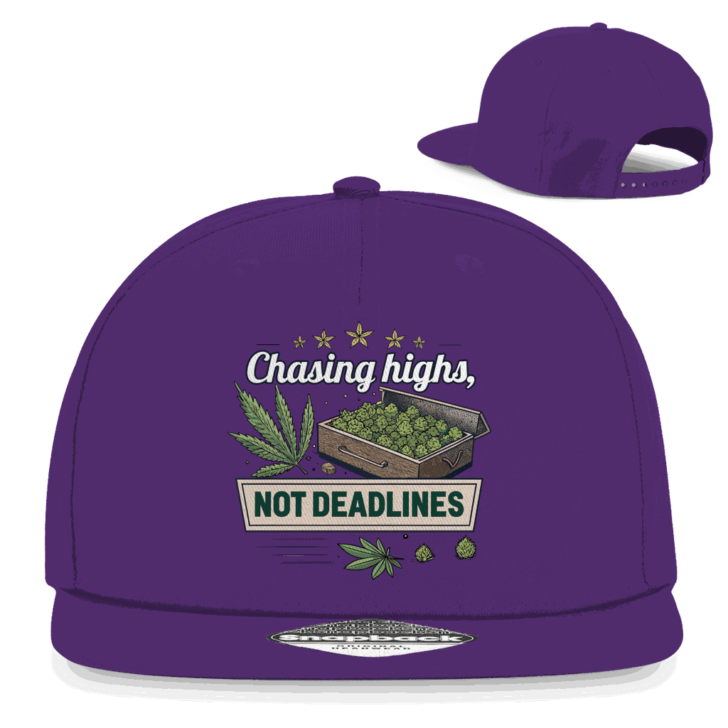 Snapback Rapper Cap - Chasing Highs | Division420®