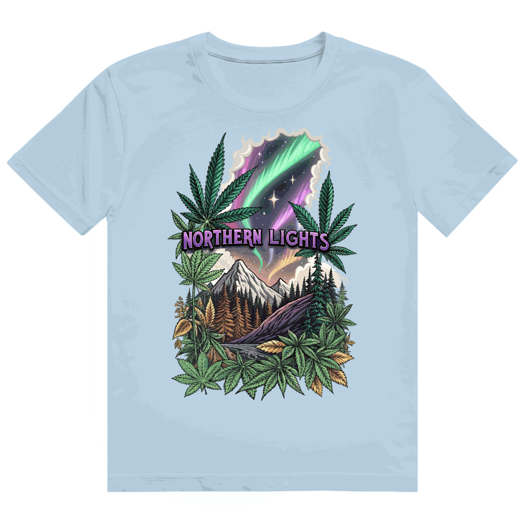 Heavy Cotton T-Shirt - Northern Lights | Division420®