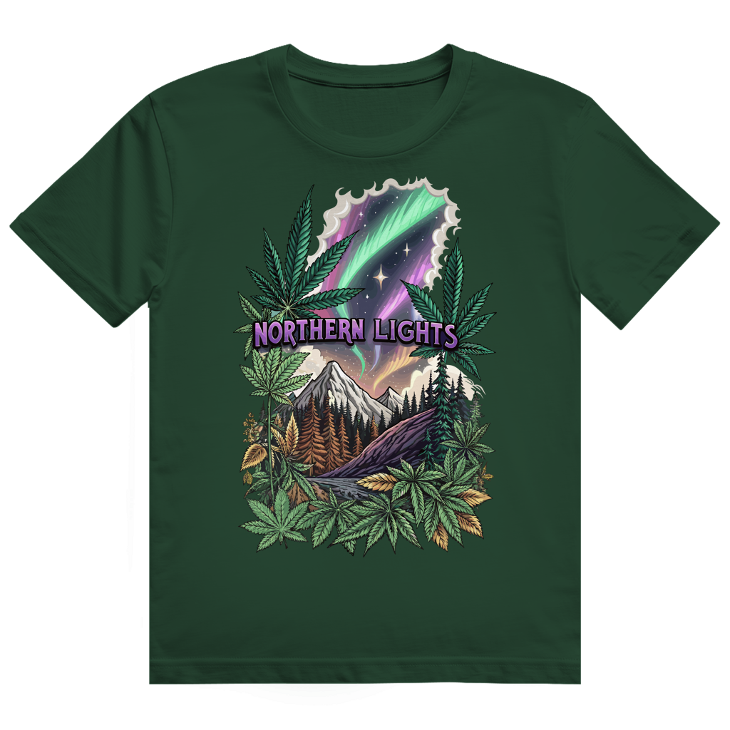 Heavy Cotton T-Shirt - Northern Lights | Division420®
