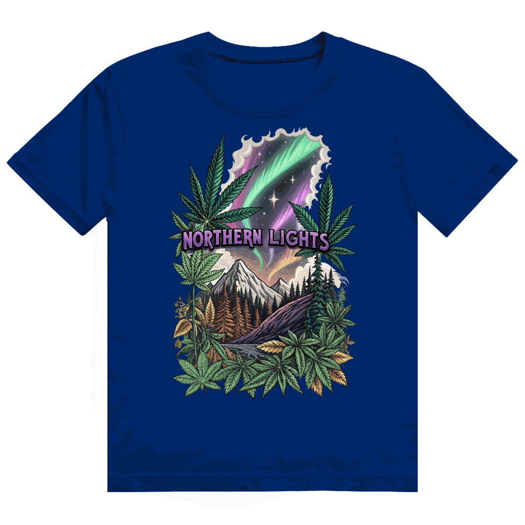 Heavy Cotton T-Shirt - Northern Lights | Division420®