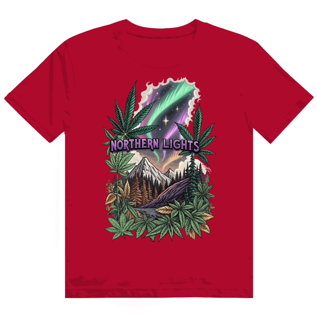 Heavy Cotton T-Shirt - Northern Lights | Division420®