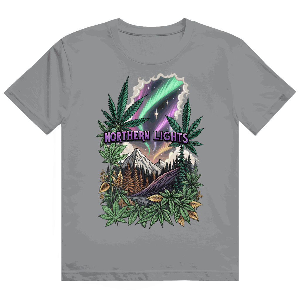 Heavy Cotton T-Shirt - Northern Lights | Division420®