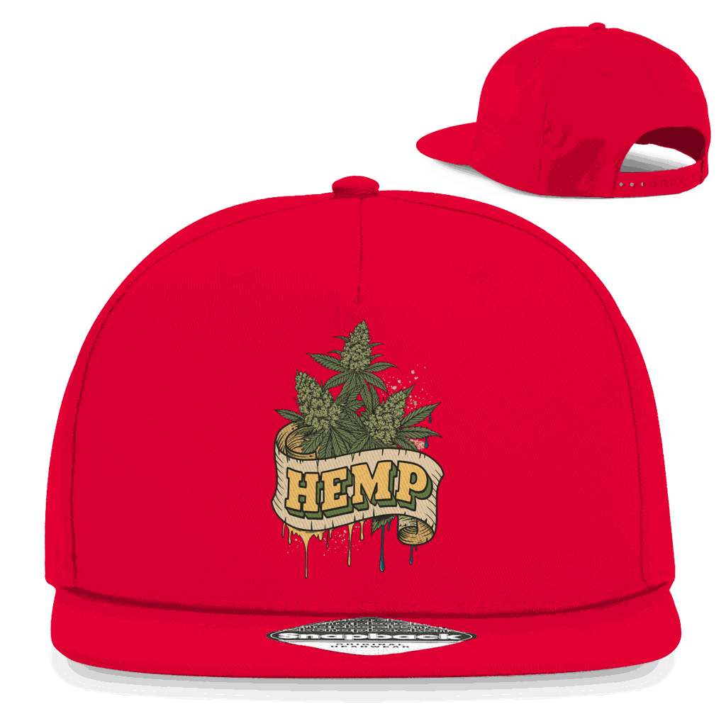 Snapback Rapper Cap - Hemp Art Print | Division420®