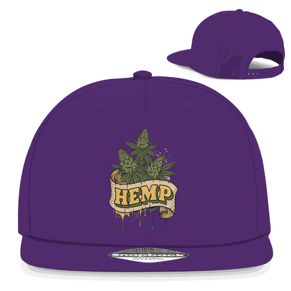 Snapback Rapper Cap - Hemp Art Print | Division420®