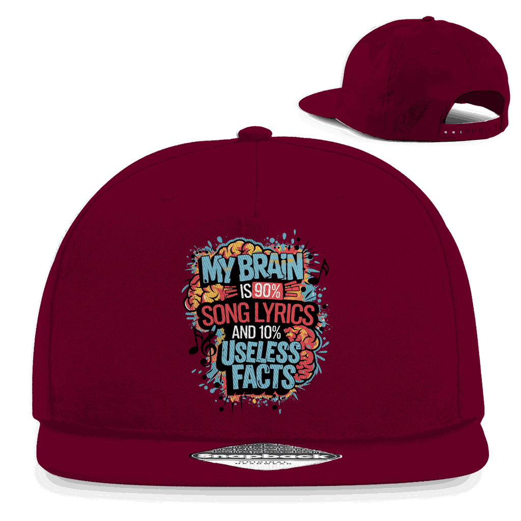 Snapback Rapper Cap - My Brain is 90% Song Lyrics | Division420®