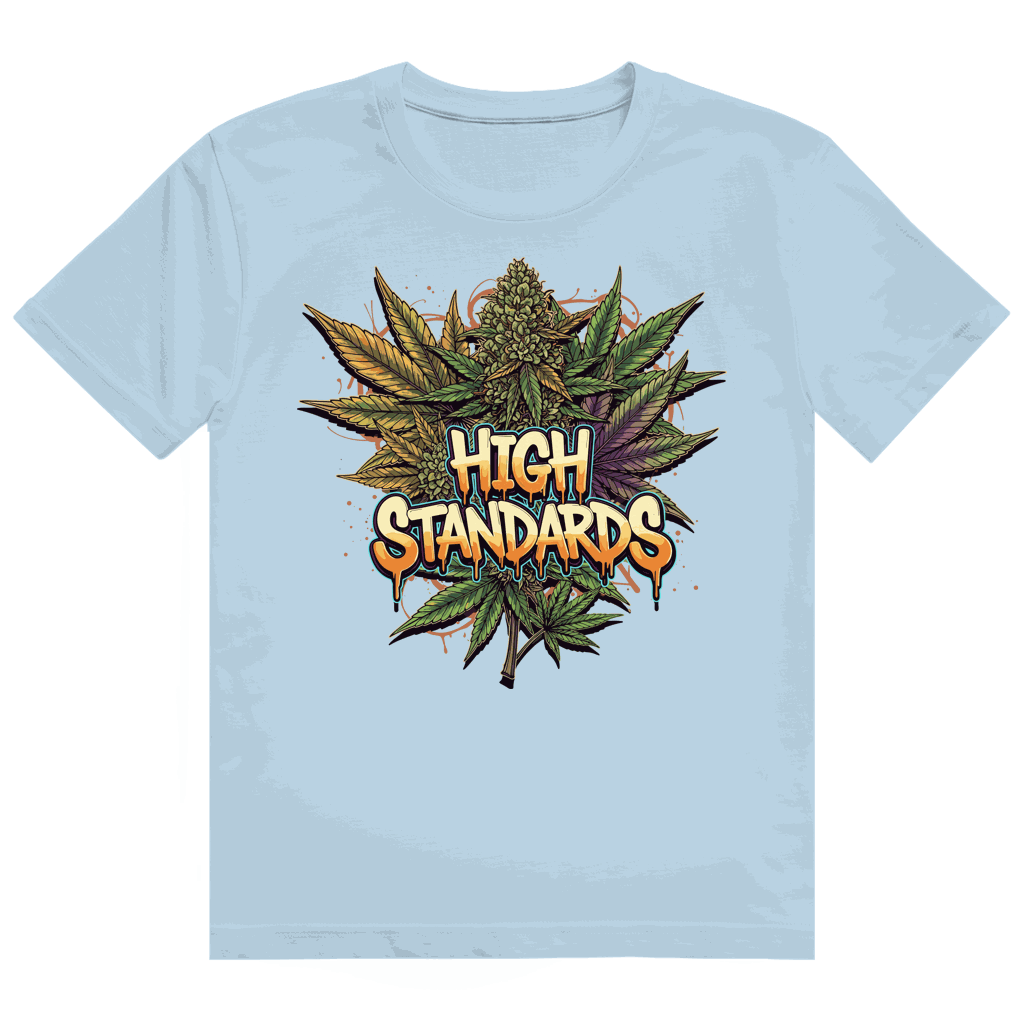 Heavy Cotton T-Shirt - High Standards | Division420®