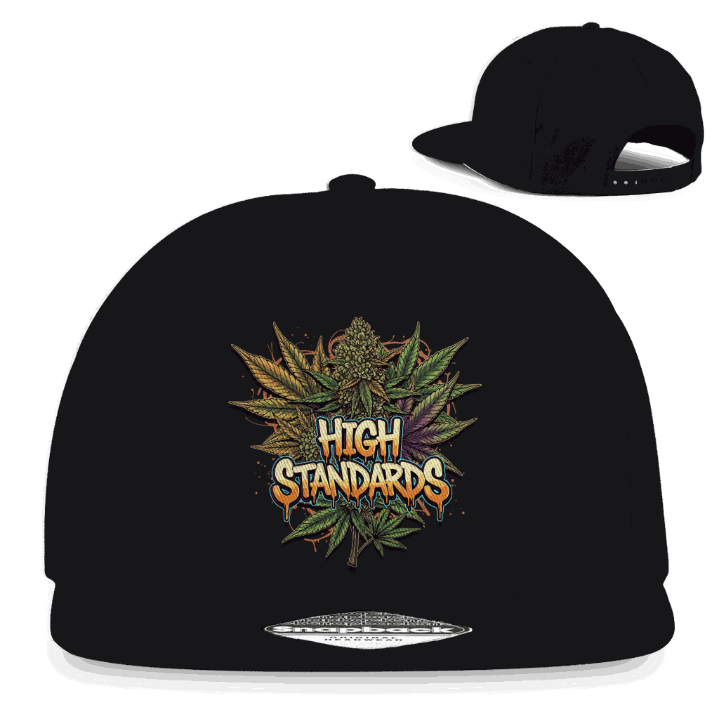 Snapback Rapper Cap - High Standards | Division420®
