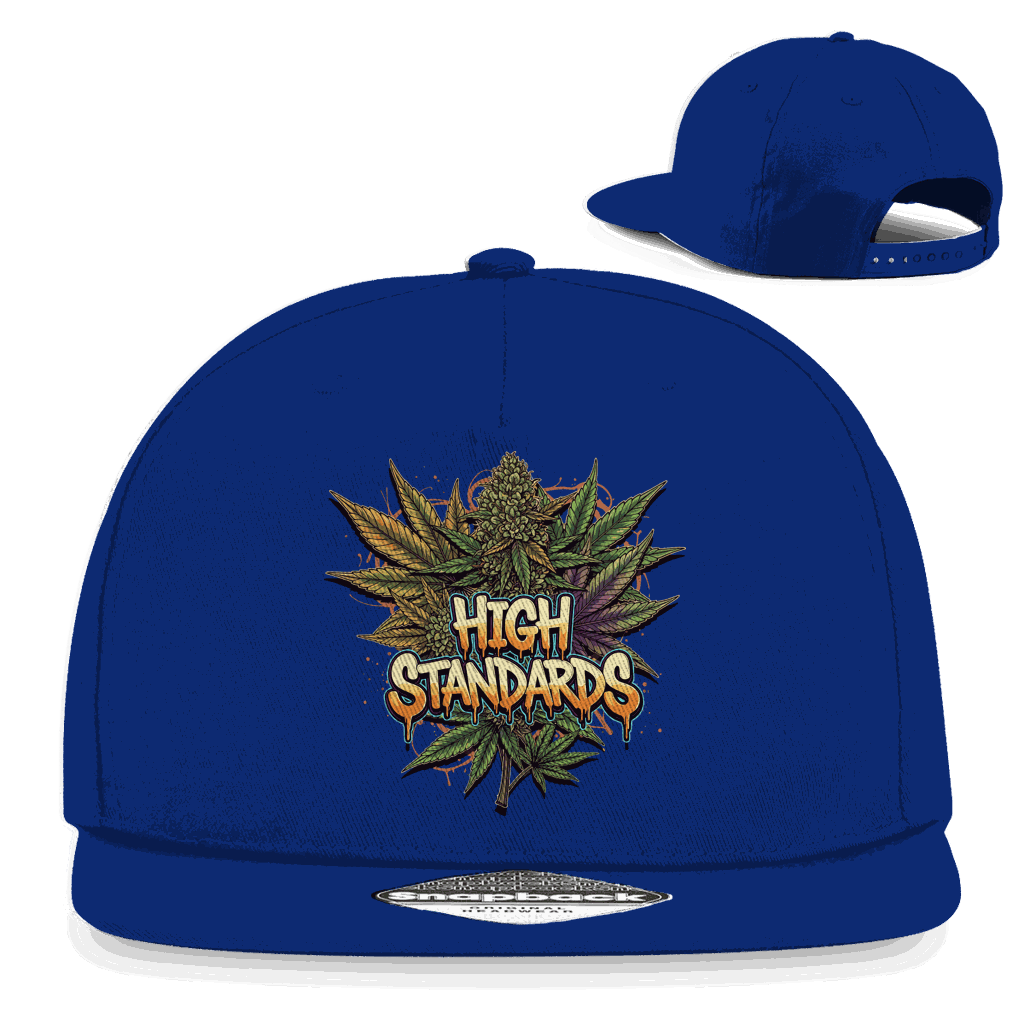 Snapback Rapper Cap - High Standards | Division420®