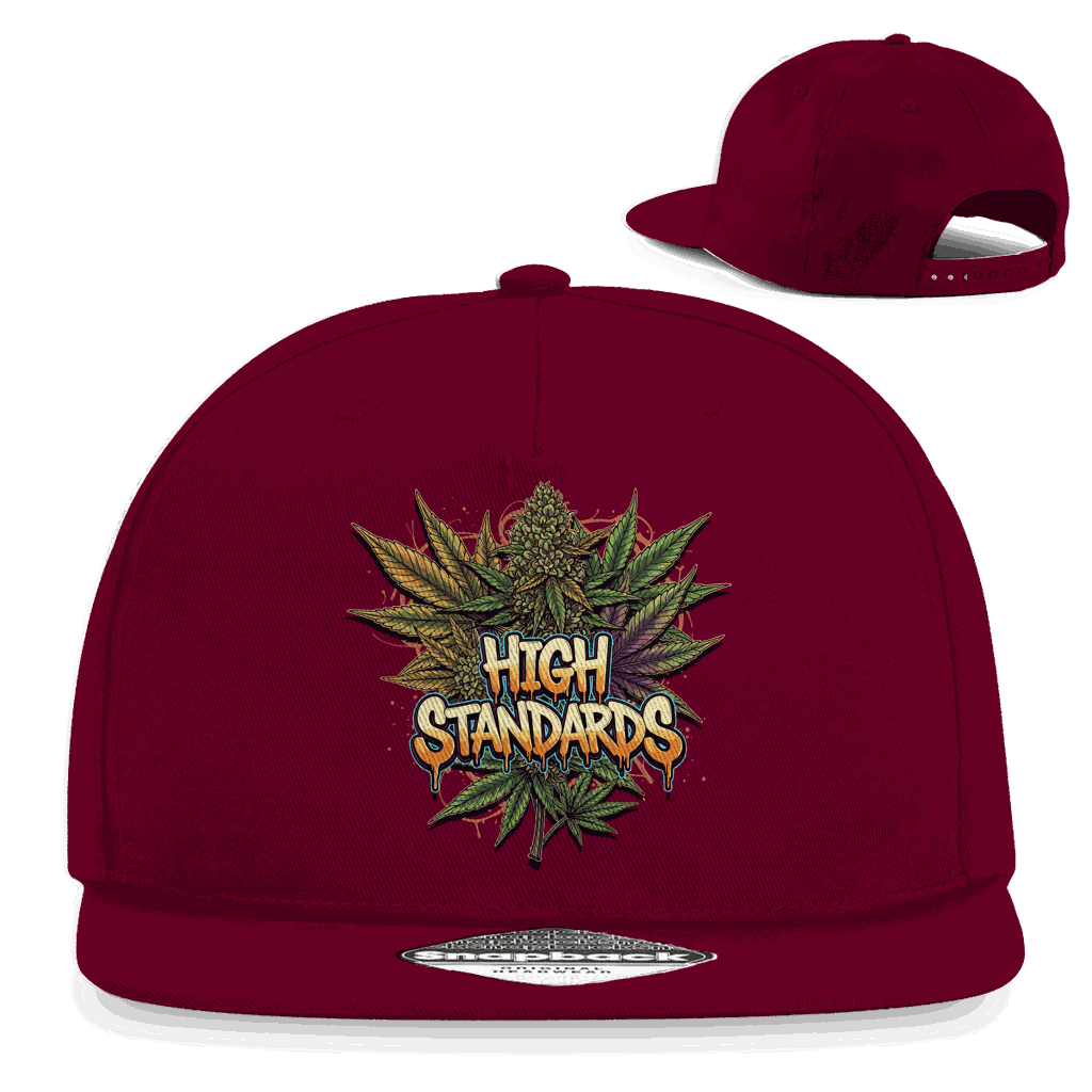 Snapback Rapper Cap - High Standards | Division420®