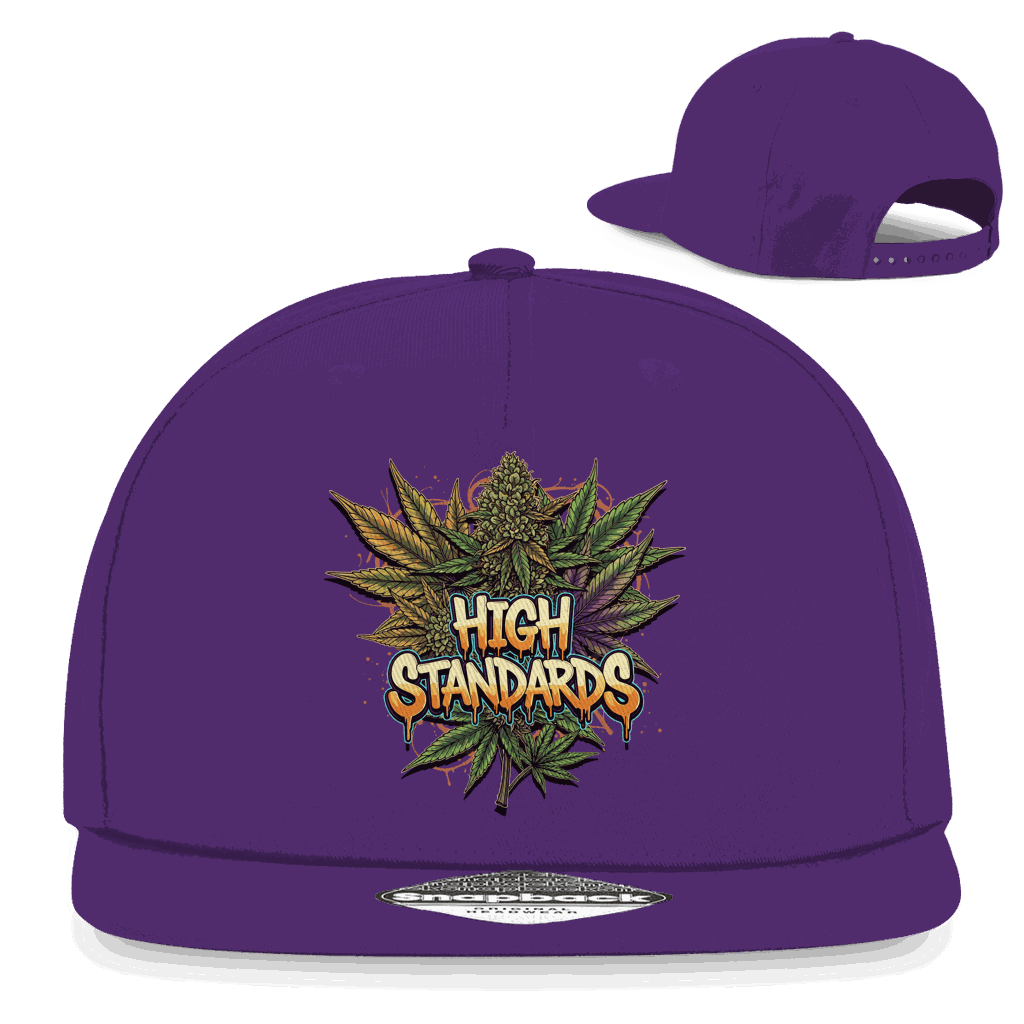 Snapback Rapper Cap - High Standards | Division420®