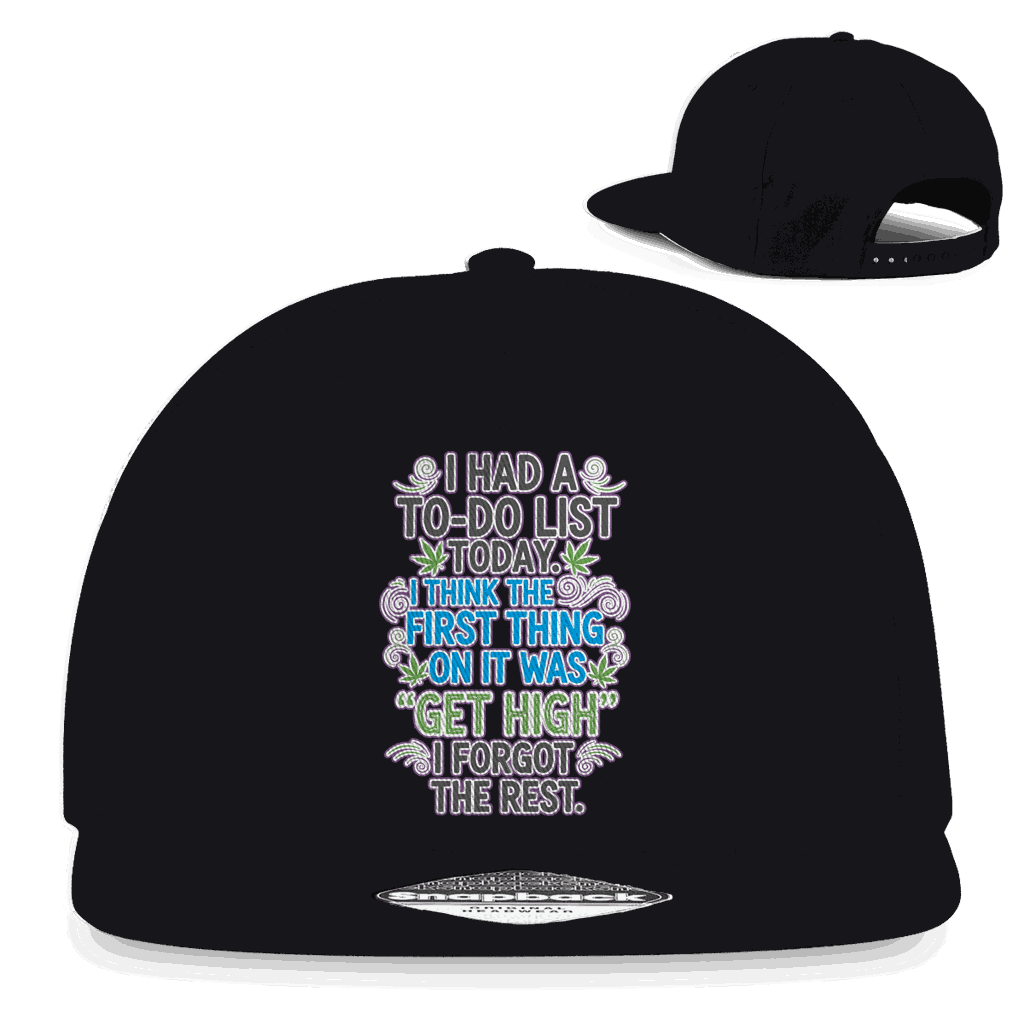 Snapback Rapper Cap - I had a to-do list today. | Division420®