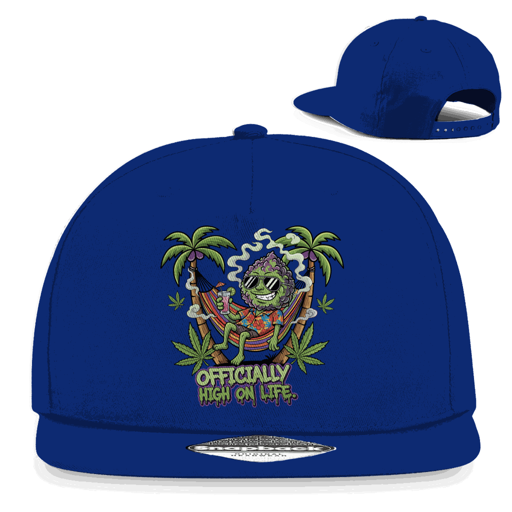 Snapback Rapper Cap - Officially High On Life | Division420®