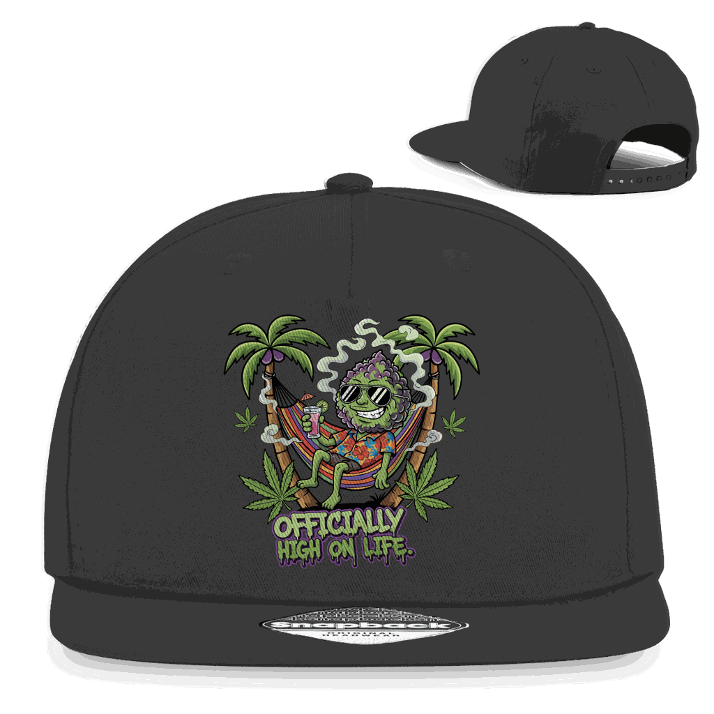 Snapback Rapper Cap - Officially High On Life | Division420®