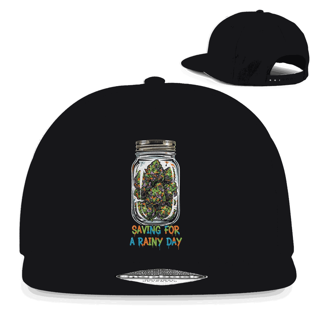 Snapback Rapper Cap - Savind for a rainy day | Division420®