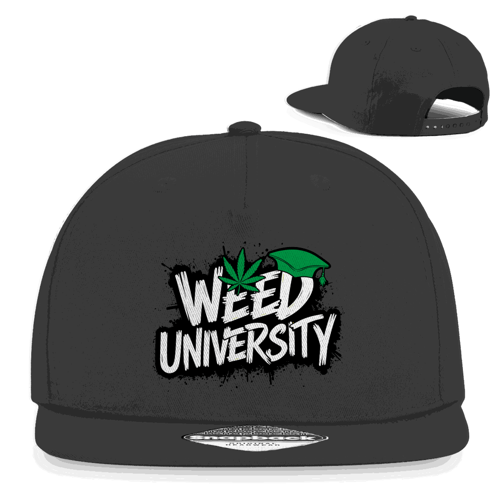 Division420 Snapback Rapper Cap in klassischem 5-Panel Design mit flachem Schirm und authentischem Aufkleber