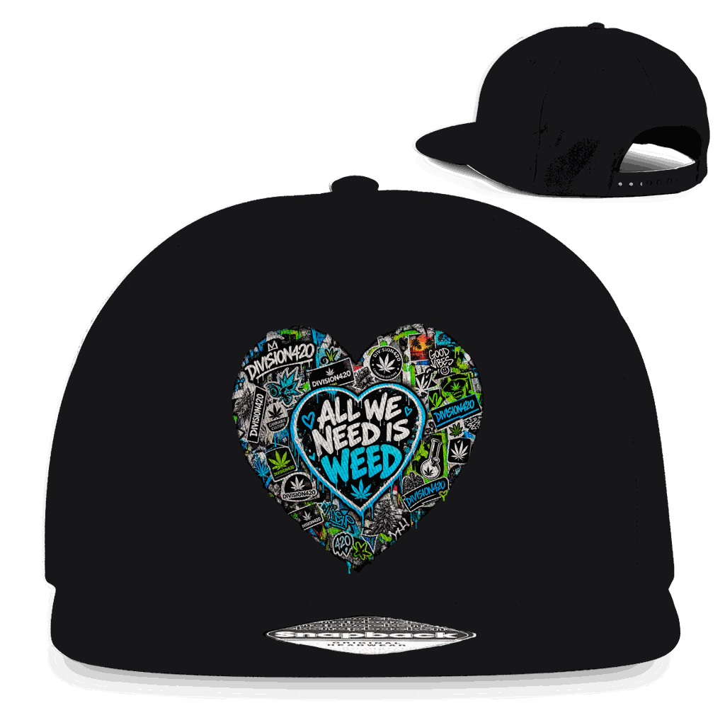 Snapback Rapper Cap - All we need | Division420®
