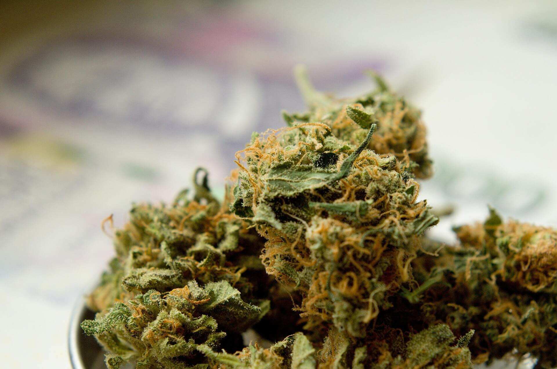 Symbolische Darstellung von Cannabis als Genussmittel mit kulturellen und historischen Elementen