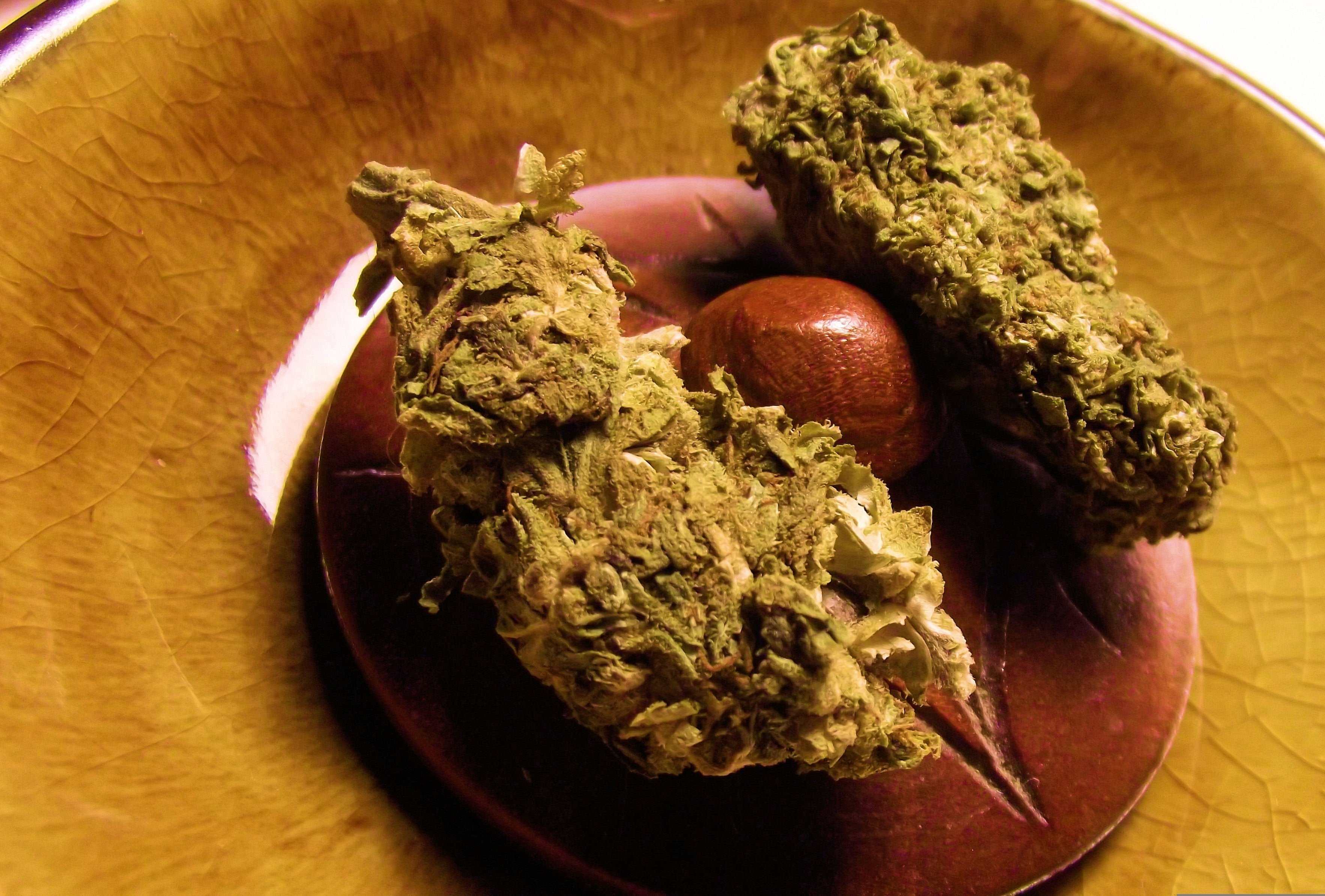 Der große Cannabis-Guide - Cannabinol (CBN)