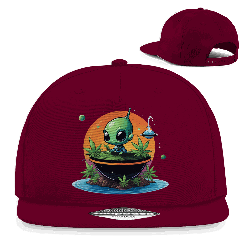 Snapback Rapper Cap - OG Alien | Division420®