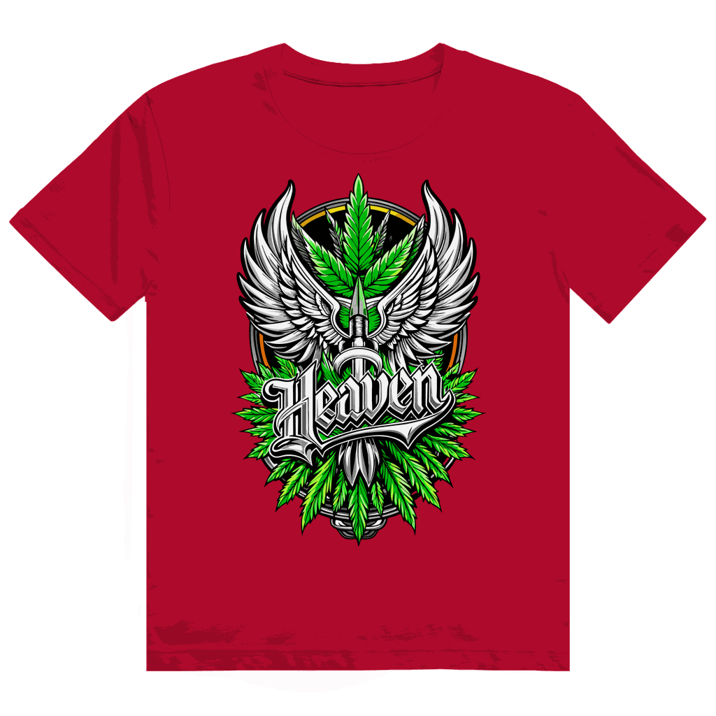 Size chart for Division420 Heavy Cotton T-Shirt Heaven showing measurements and fit details