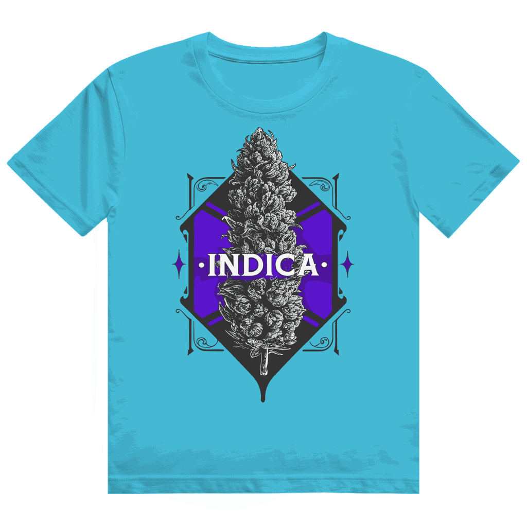 Heavy Cotton T-Shirt - Indica Art Print | Division420®