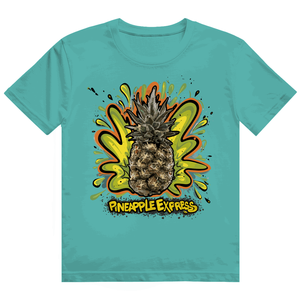 Heavy Cotton T-Shirt - Pineapple Express | Division420®