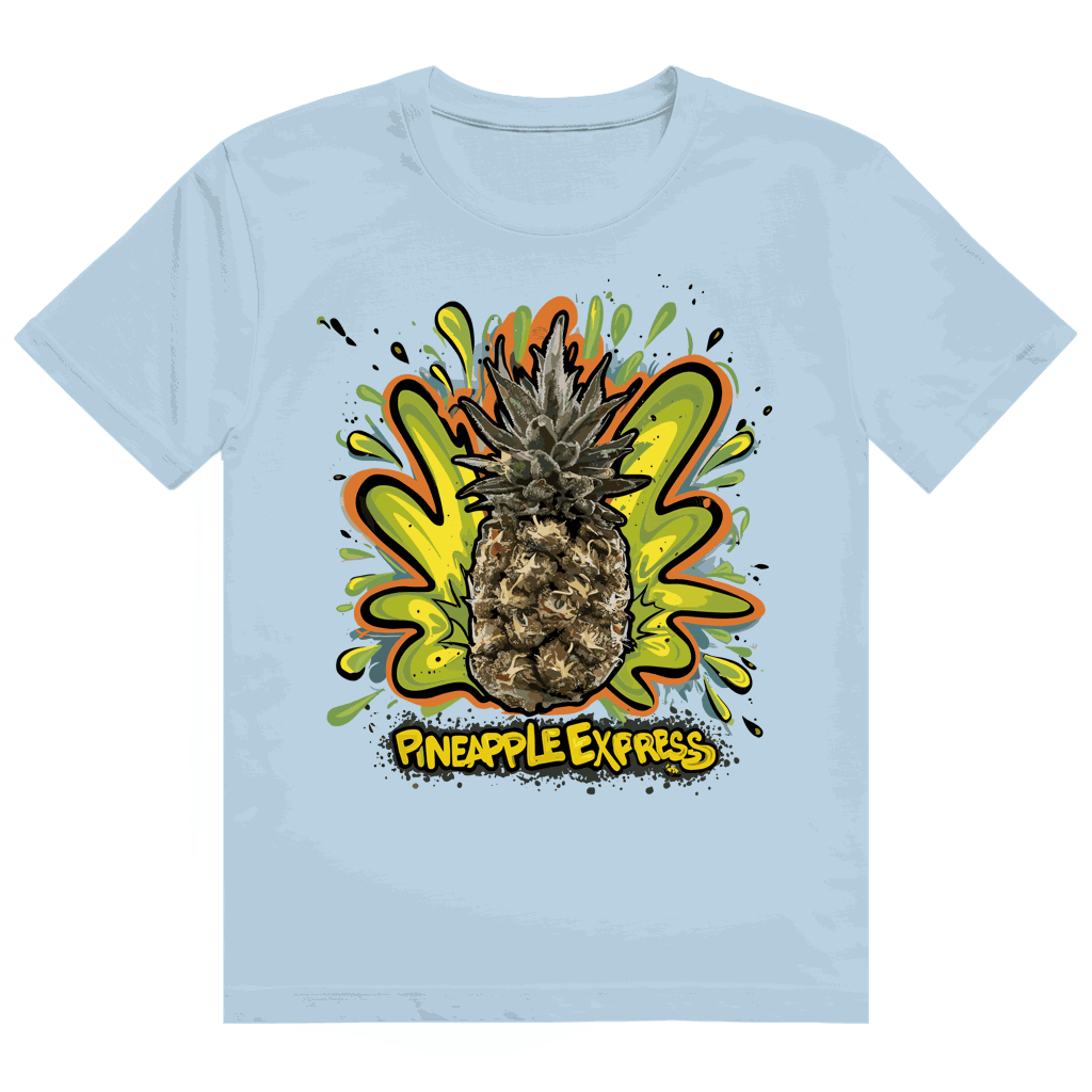 Heavy Cotton T-Shirt - Pineapple Express | Division420®