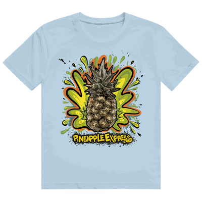 Heavy Cotton T-Shirt - Pineapple Express | Division420®