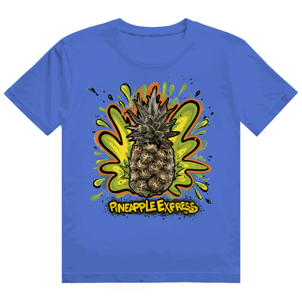 Heavy Cotton T-Shirt - Pineapple Express | Division420®
