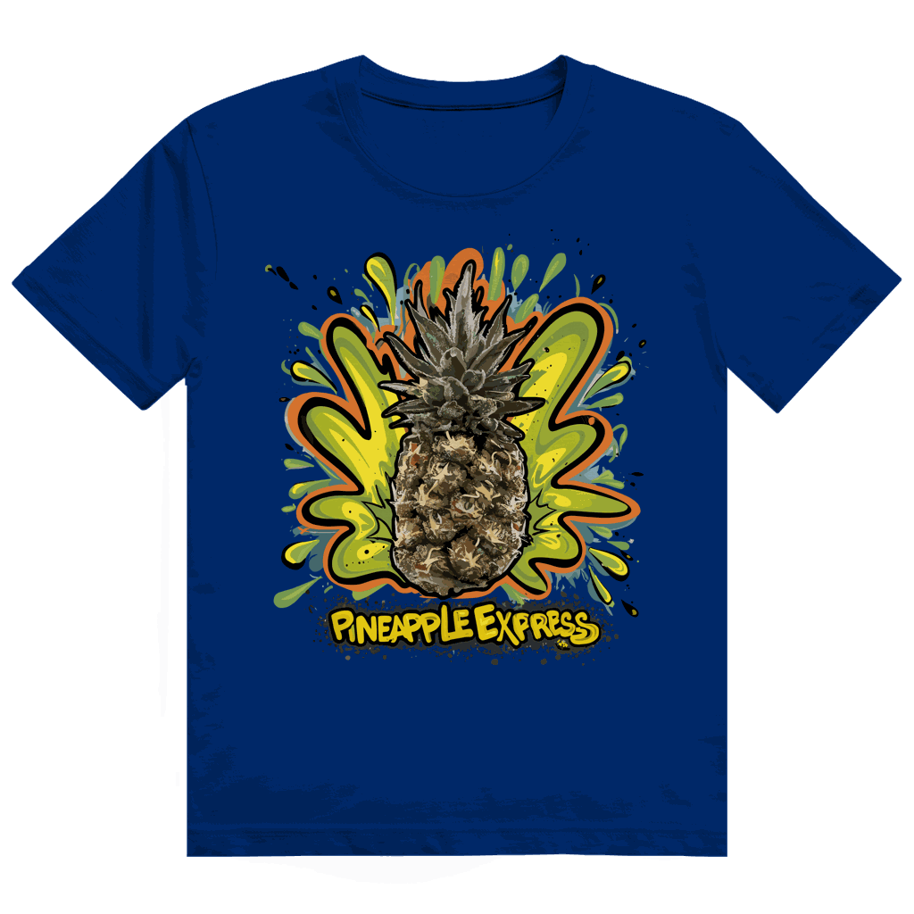 Heavy Cotton T-Shirt - Pineapple Express | Division420®
