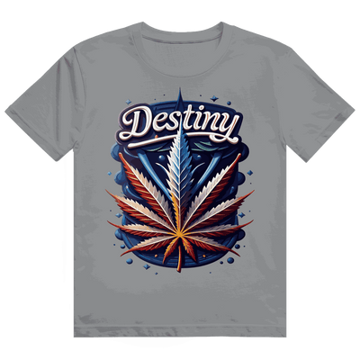 Heavy Cotton T-Shirt - Destiny | Division420®