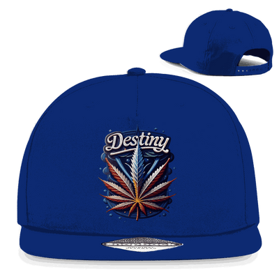Snapback Rapper Cap - Destiny | Division420®