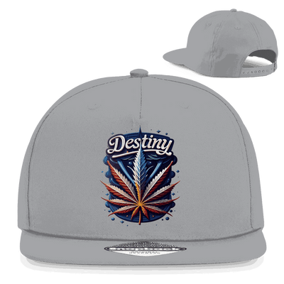 Snapback Rapper Cap - Destiny | Division420®