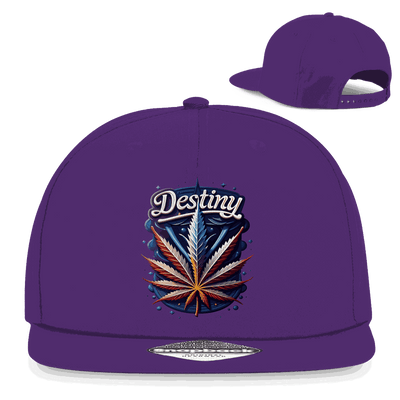 Snapback Rapper Cap - Destiny | Division420®