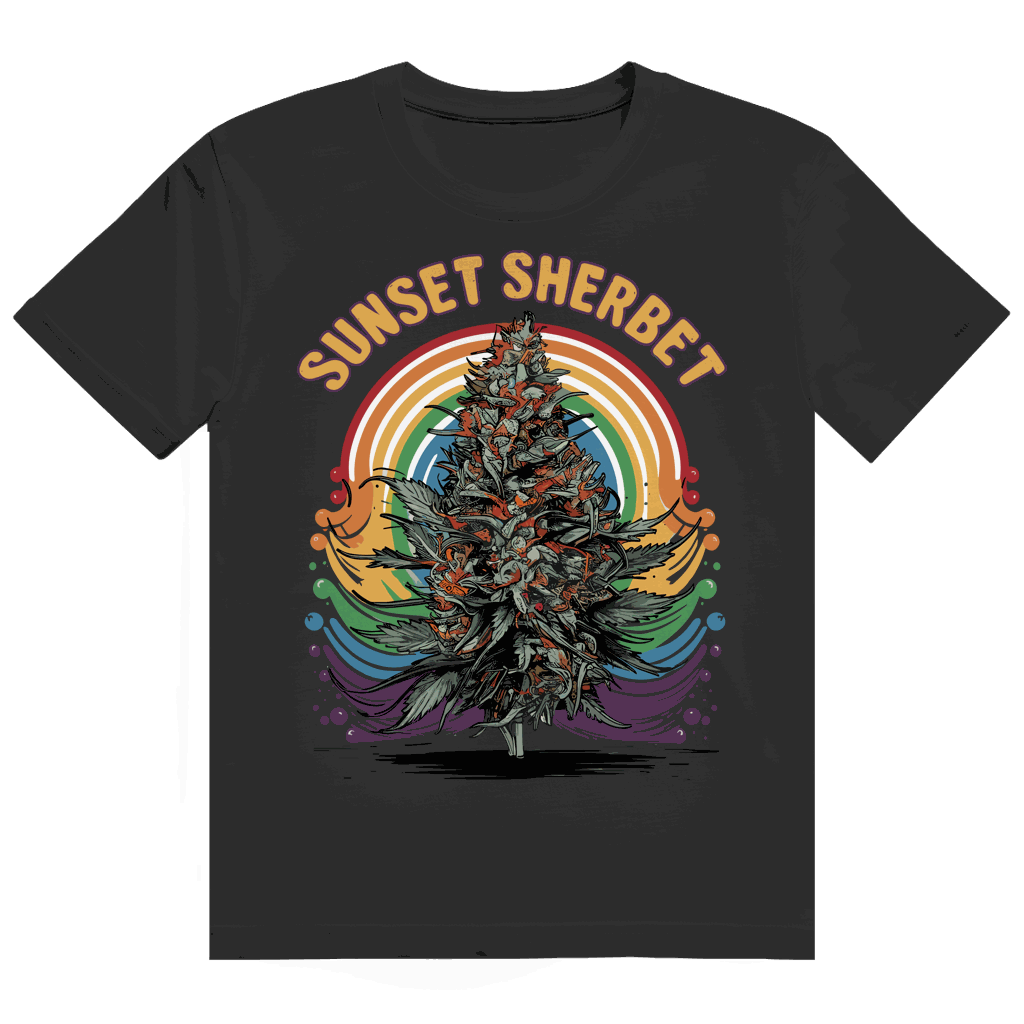 Divison420 Heavy Cotton T-Shirt Sunset Sherbet in modernem Tubular Fit aus 100% Baumwolle mit nachhaltiger Produktion